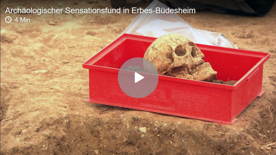 Archäologischer Sensationsfund in Erbes-Büdesheim