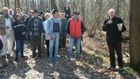 Waldbegehung mit Forstdirektor a.D. Dr. Gerhard Hanke