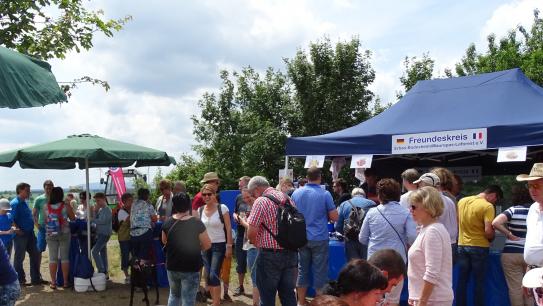 8. Erbes-Büdesheimer Weinwanderung