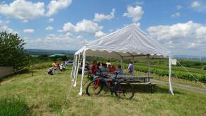 8. Erbes-Büdesheimer Weinwanderung