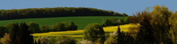 Landschaft bei Erbes-Büdesheim